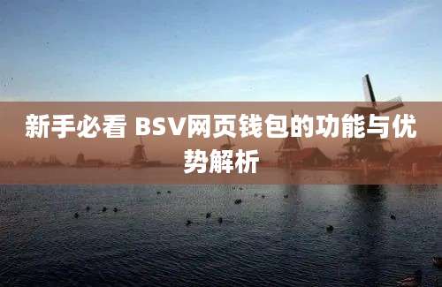 新手必看 BSV网页钱包的功能与优势解析