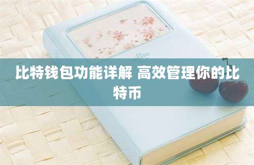 比特钱包功能详解 高效管理你的比特币