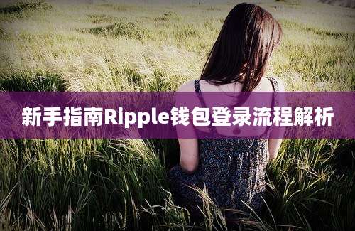 新手指南Ripple钱包登录流程解析