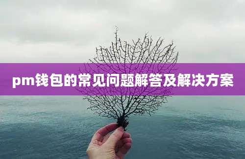 pm钱包的常见问题解答及解决方案