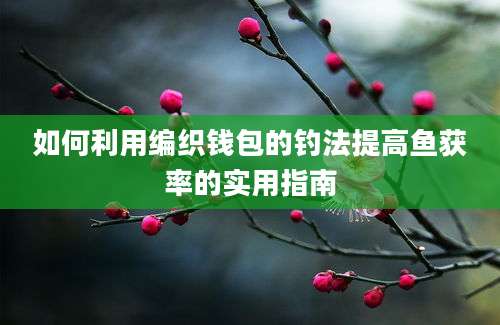 如何利用编织钱包的钓法提高鱼获率的实用指南