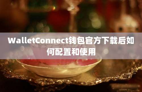 WalletConnect钱包官方下载后如何配置和使用