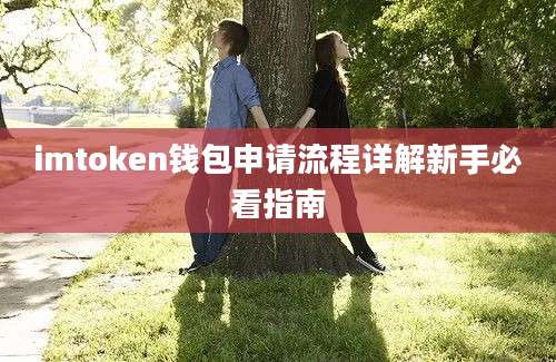 imtoken钱包申请流程详解新手必看指南