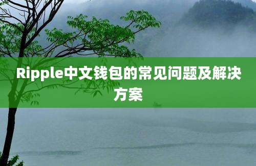 Ripple中文钱包的常见问题及解决方案