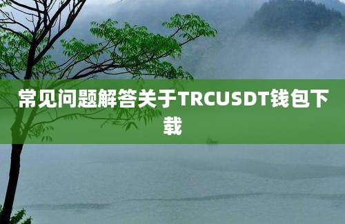 常见问题解答关于TRCUSDT钱包下载