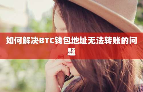 如何解决BTC钱包地址无法转账的问题