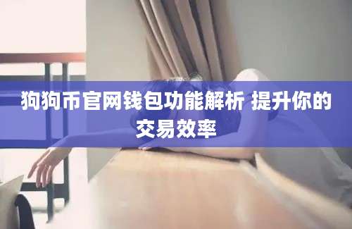 狗狗币官网钱包功能解析 提升你的交易效率