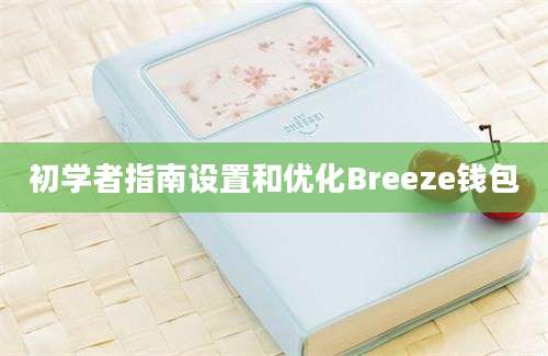 初学者指南设置和优化Breeze钱包