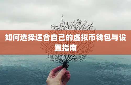 如何选择适合自己的虚拟币钱包与设置指南