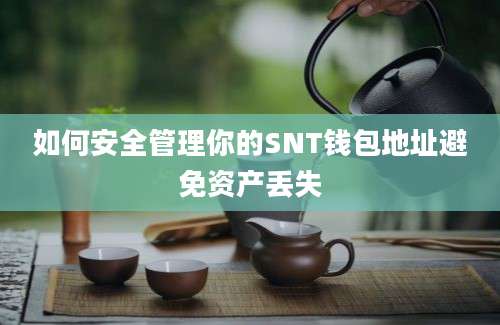 如何安全管理你的SNT钱包地址避免资产丢失