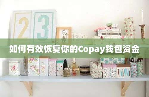 如何有效恢复你的Copay钱包资金