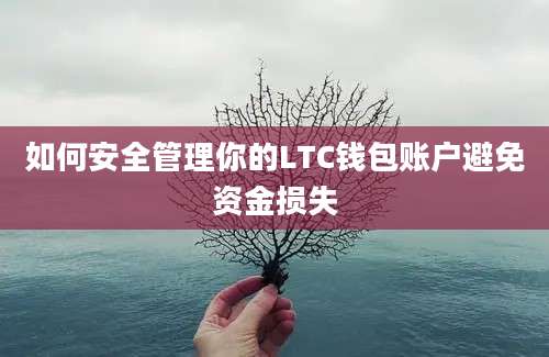 如何安全管理你的LTC钱包账户避免资金损失