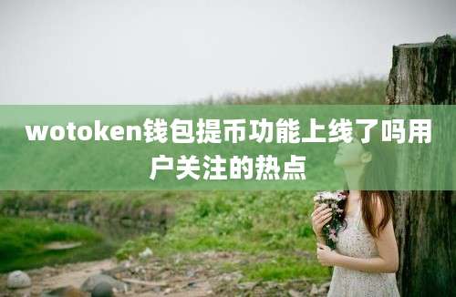 wotoken钱包提币功能上线了吗用户关注的热点