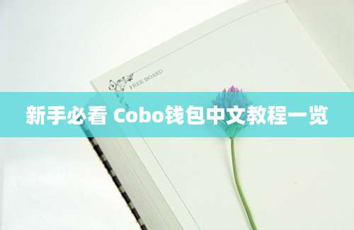 新手必看 Cobo钱包中文教程一览