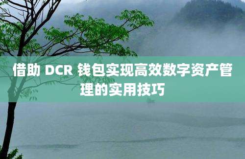 借助 DCR 钱包实现高效数字资产管理的实用技巧