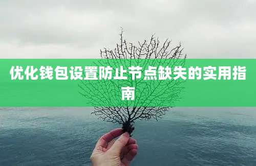 优化钱包设置防止节点缺失的实用指南