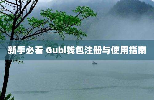 新手必看 Gubi钱包注册与使用指南