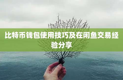 比特币钱包使用技巧及在闲鱼交易经验分享