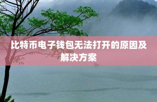 比特币电子钱包无法打开的原因及解决方案