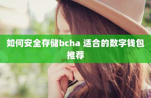 如何安全存储bcha 适合的数字钱包推荐