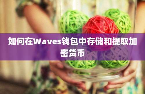 如何在Waves钱包中存储和提取加密货币