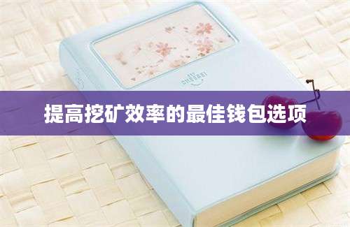 提高挖矿效率的最佳钱包选项