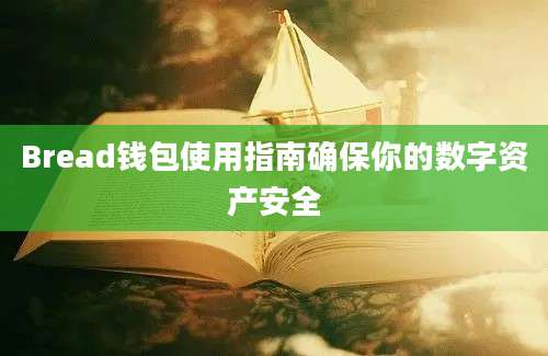 Bread钱包使用指南确保你的数字资产安全