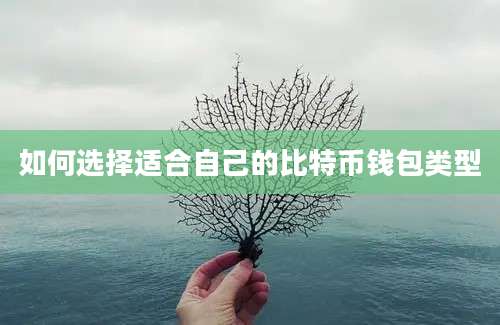 如何选择适合自己的比特币钱包类型