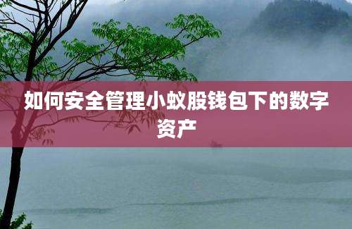 如何安全管理小蚁股钱包下的数字资产