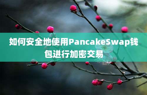 如何安全地使用PancakeSwap钱包进行加密交易