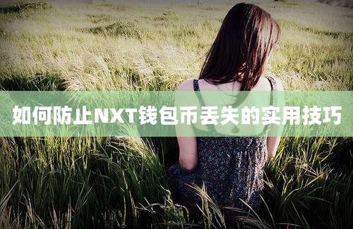 如何防止NXT钱包币丢失的实用技巧