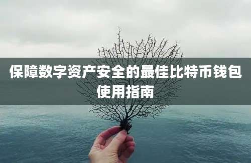 保障数字资产安全的最佳比特币钱包使用指南