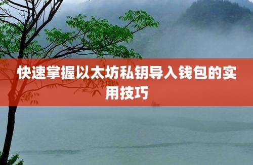 快速掌握以太坊私钥导入钱包的实用技巧