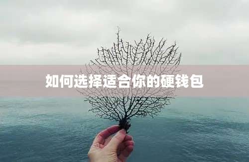 如何选择适合你的硬钱包