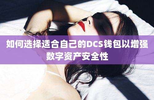 如何选择适合自己的DCS钱包以增强数字资产安全性