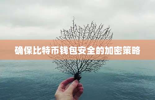 确保比特币钱包安全的加密策略