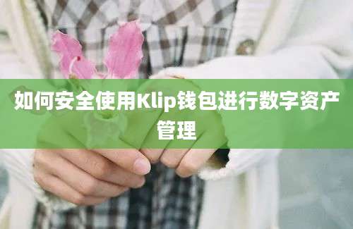 如何安全使用Klip钱包进行数字资产管理