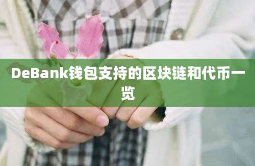 DeBank钱包支持的区块链和代币一览