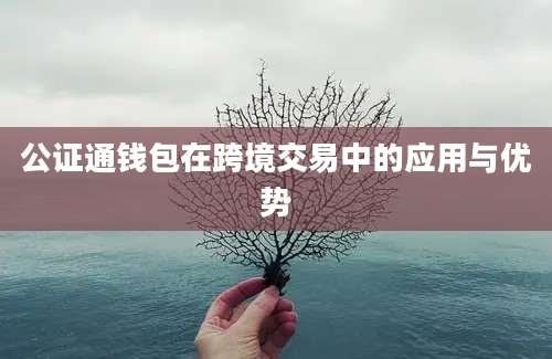 公证通钱包在跨境交易中的应用与优势