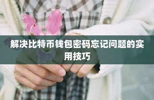 解决比特币钱包密码忘记问题的实用技巧