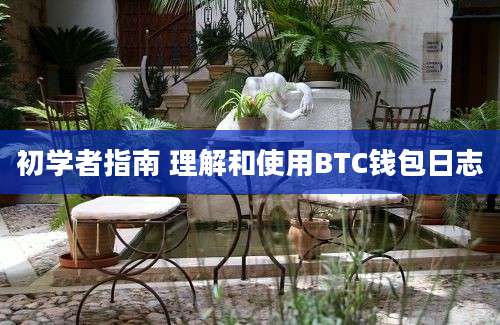 初学者指南 理解和使用BTC钱包日志