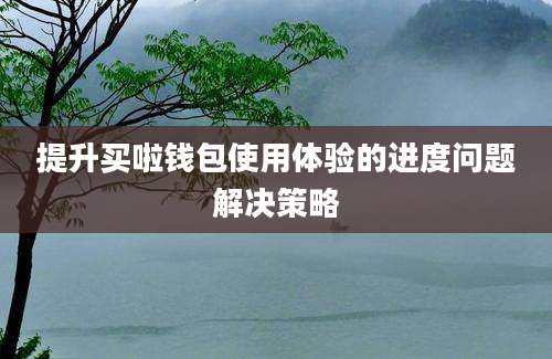 提升买啦钱包使用体验的进度问题解决策略