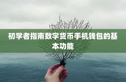 初学者指南数字货币手机钱包的基本功能