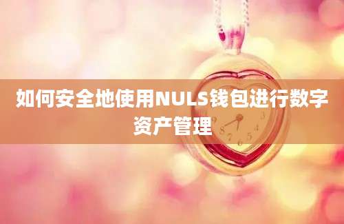 如何安全地使用NULS钱包进行数字资产管理