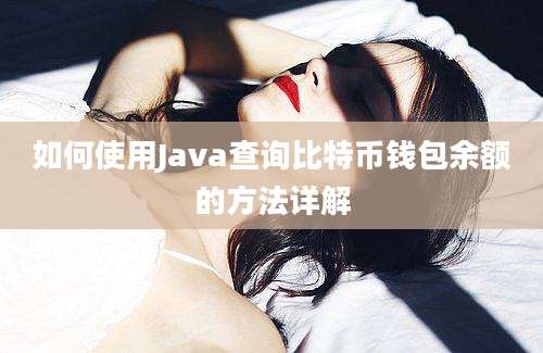 如何使用Java查询比特币钱包余额的方法详解