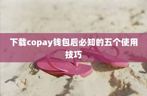 下载copay钱包后必知的五个使用技巧