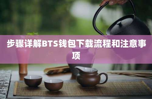 步骤详解BTS钱包下载流程和注意事项