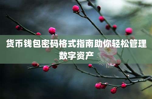 货币钱包密码格式指南助你轻松管理数字资产