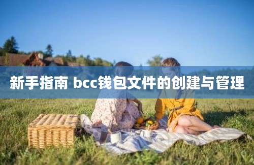 新手指南 bcc钱包文件的创建与管理