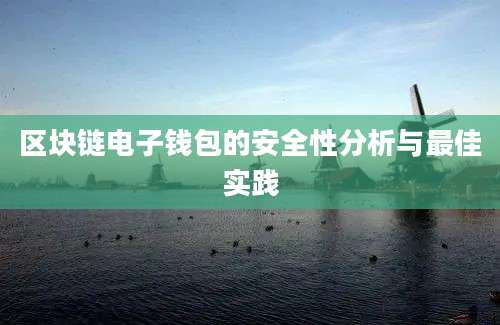 区块链电子钱包的安全性分析与最佳实践